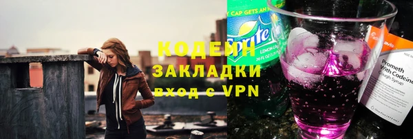 метадон Гусев