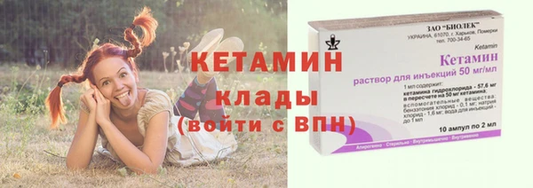 гашик Гусь-Хрустальный