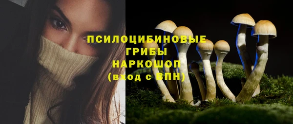 гашик Гусь-Хрустальный