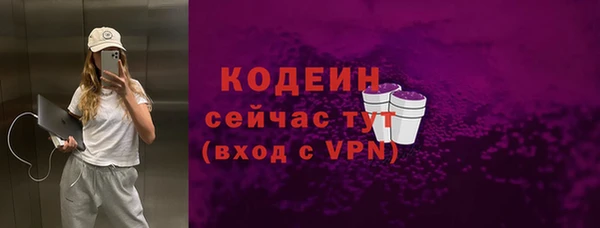 метадон Гусев