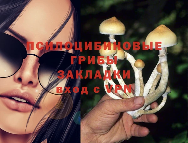 метадон Гусев