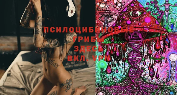 винт Гусиноозёрск