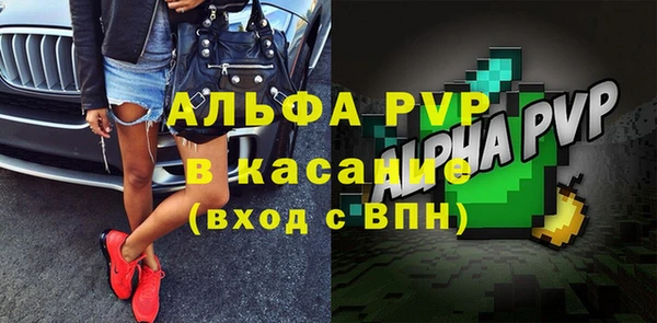 гашик Гусь-Хрустальный