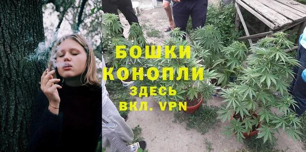 винт Гусиноозёрск