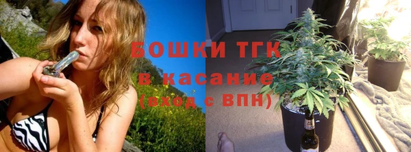 винт Гусиноозёрск