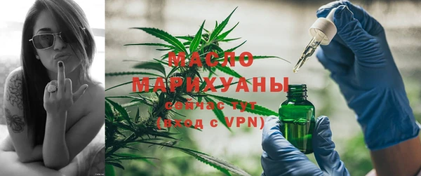 гашик Гусь-Хрустальный